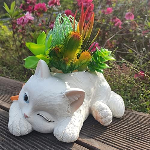 אדנית חתולים של Uniboho לצמחים מקורה - סירי צמח חמודים פרח עסיסי קקטוס אדניות בעלי חיים עם ניקוז 8.7x6.7x4.0 אינץ '